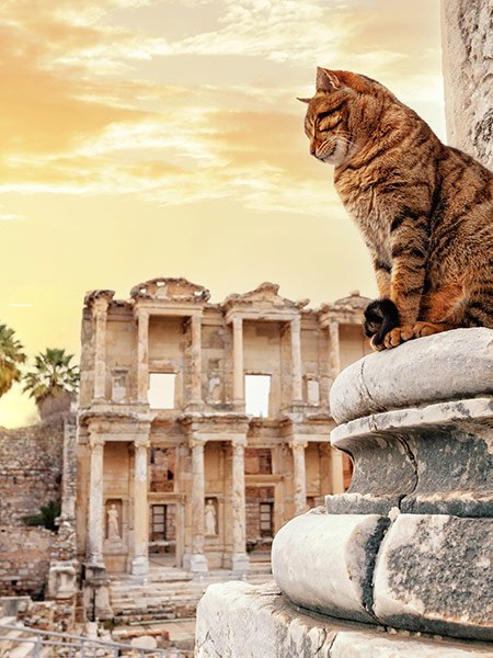 Vliegen vanaf Bremen